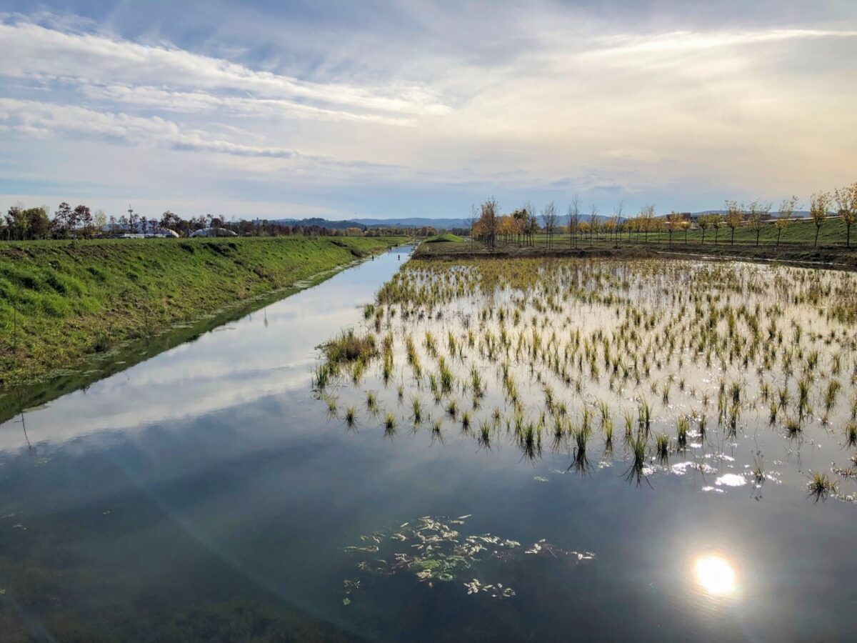 Il Parco della pace di Vicenza - Foto: panassociati.it