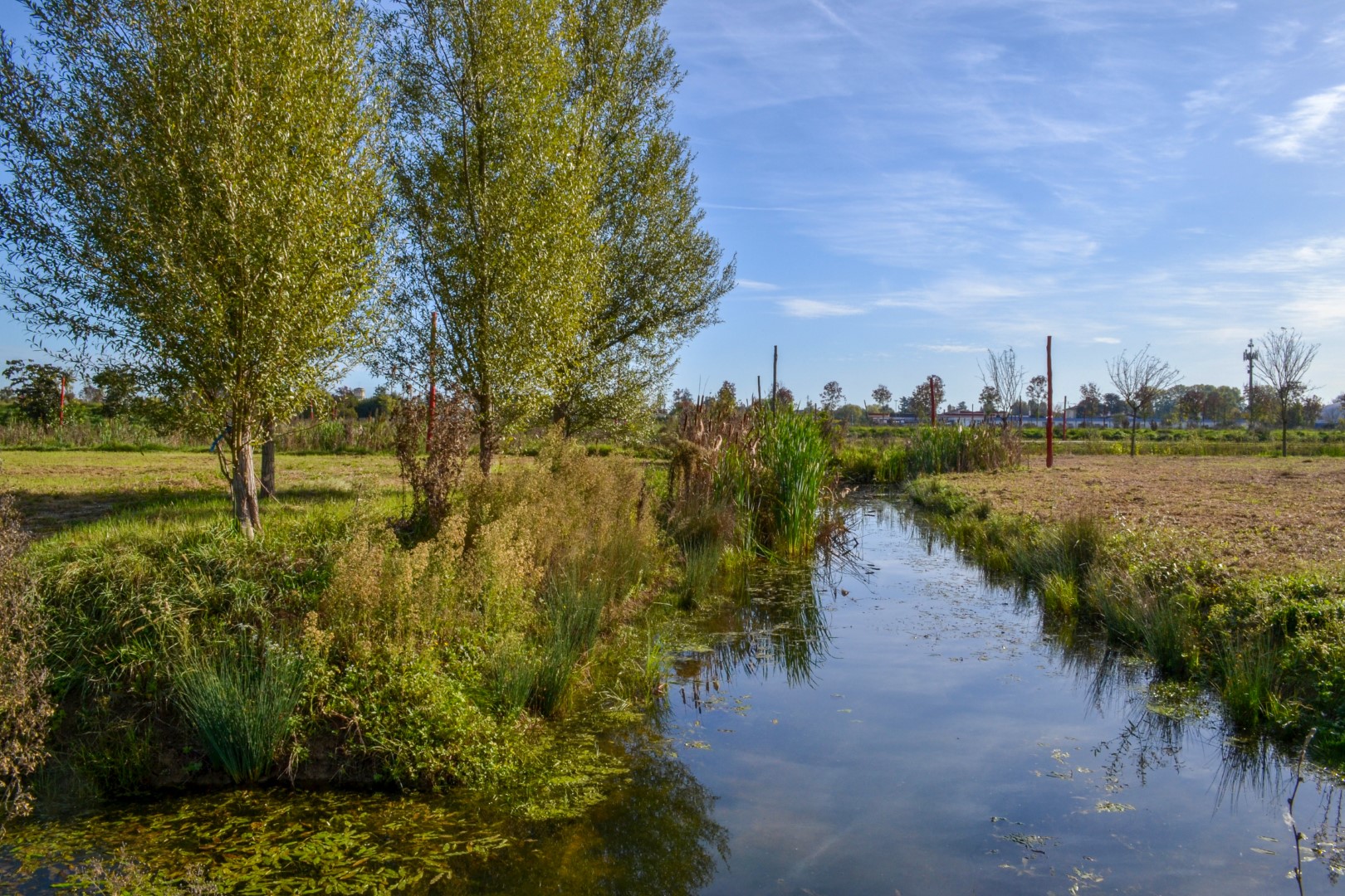 Una vista del Parco della Pace - Foto: panassociati.it